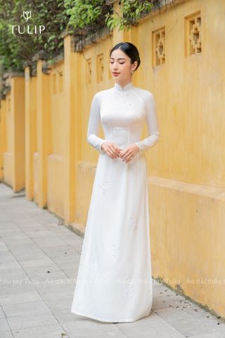 Sản phẩm nổi bật