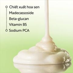 Sữa rửa mặt sen Hậu Giang Cocoon 140ml