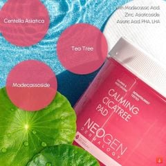 Toner Pad Tẩy Da Chết Neogen Dermalogy BHA, Cica, AHA, Niacinamide Dưỡng Ẩm Da, Se Khít Lỗ Chân Lông