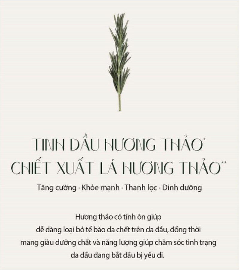 Xịt Dưỡng Chân Tóc Hương Thảo Aromatica Rosemary Root Enhancer 100ml