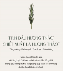 Xịt Dưỡng Chân Tóc Hương Thảo Aromatica Rosemary Root Enhancer 100ml
