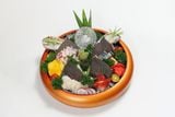  Sashimi Set đặc biệt 