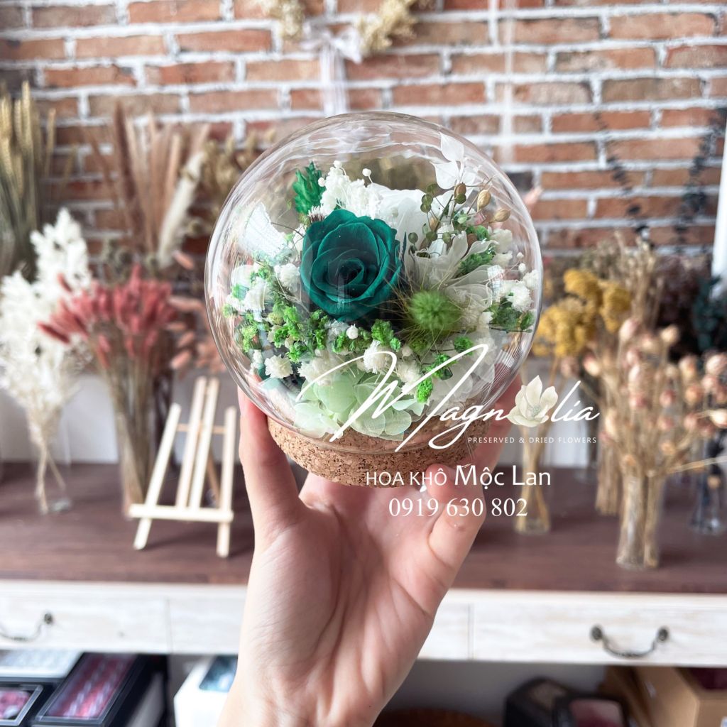 Chụp thủy tinh / Quả cầu thủy tinh hoa hồng khô vĩnh cửu hình cầu (size 10cm)