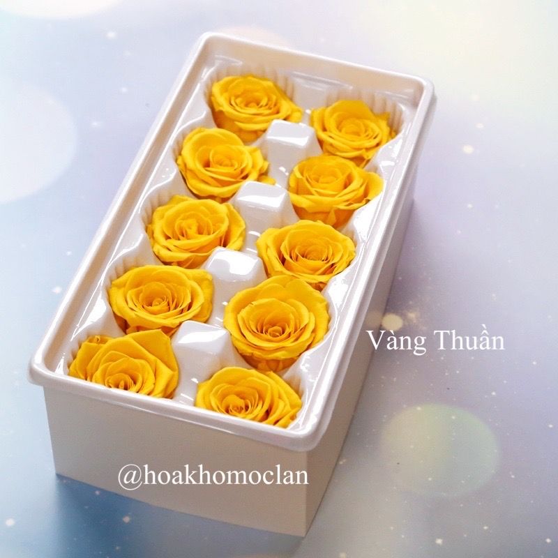 Chụp thủy tinh / Quả cầu thủy tinh hoa hồng khô vĩnh cửu hình cầu (size 12cm)