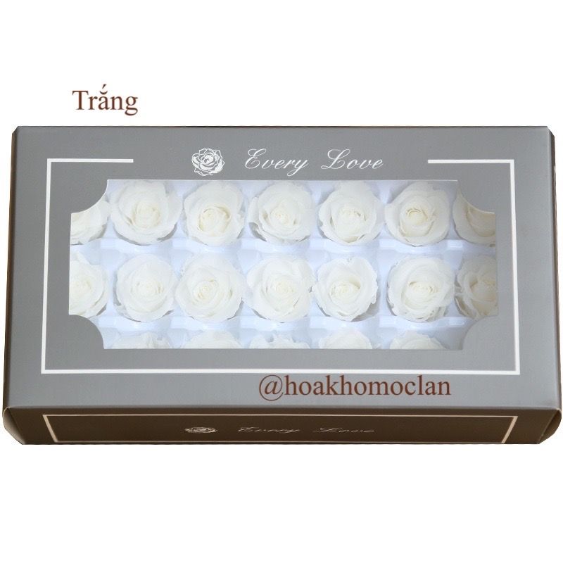 Chụp thủy tinh / Quả cầu thủy tinh hoa hồng khô vĩnh cửu hình cầu (size trụ mini 10cm)