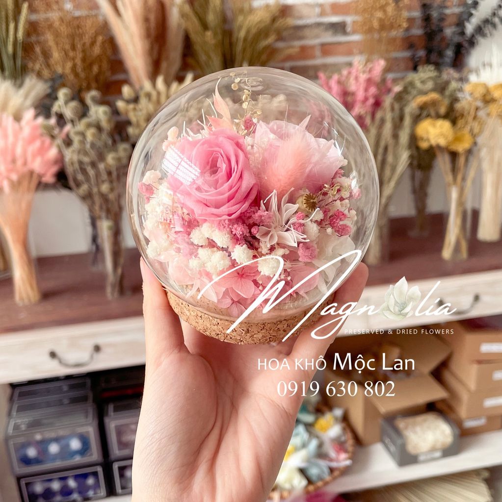 Chụp thủy tinh / Quả cầu thủy tinh hoa hồng khô vĩnh cửu hình cầu (size 10cm)