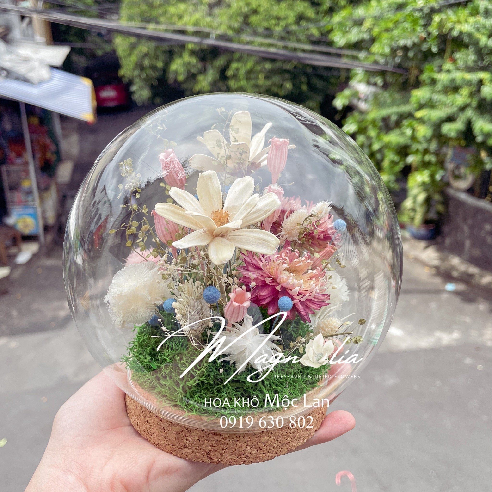  Quả cầu / Chụp thuỷ tinh cúc hoạ mi (size 15cm) 