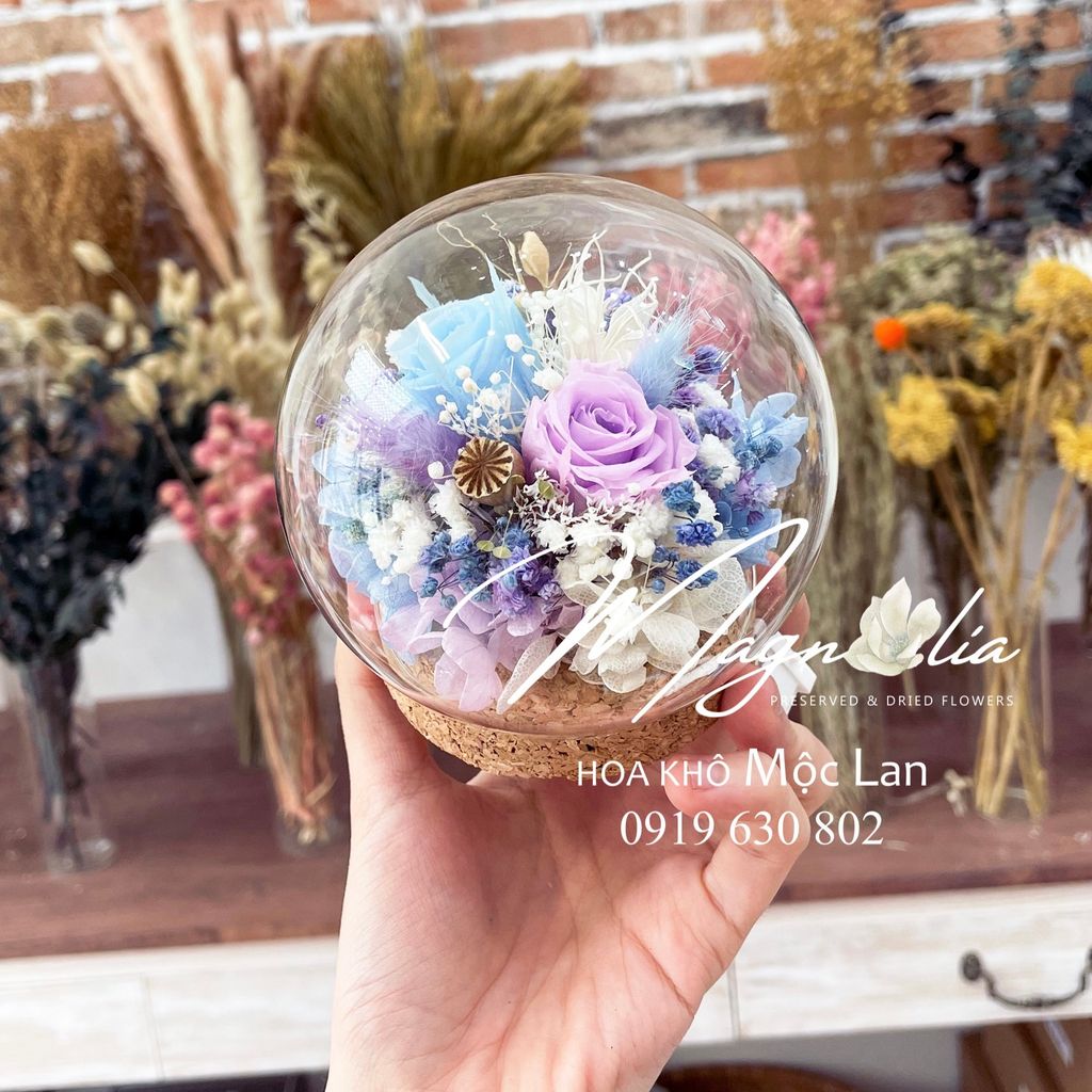 Chụp thủy tinh / Quả cầu thủy tinh hoa hồng khô vĩnh cửu hình cầu (size 10cm)