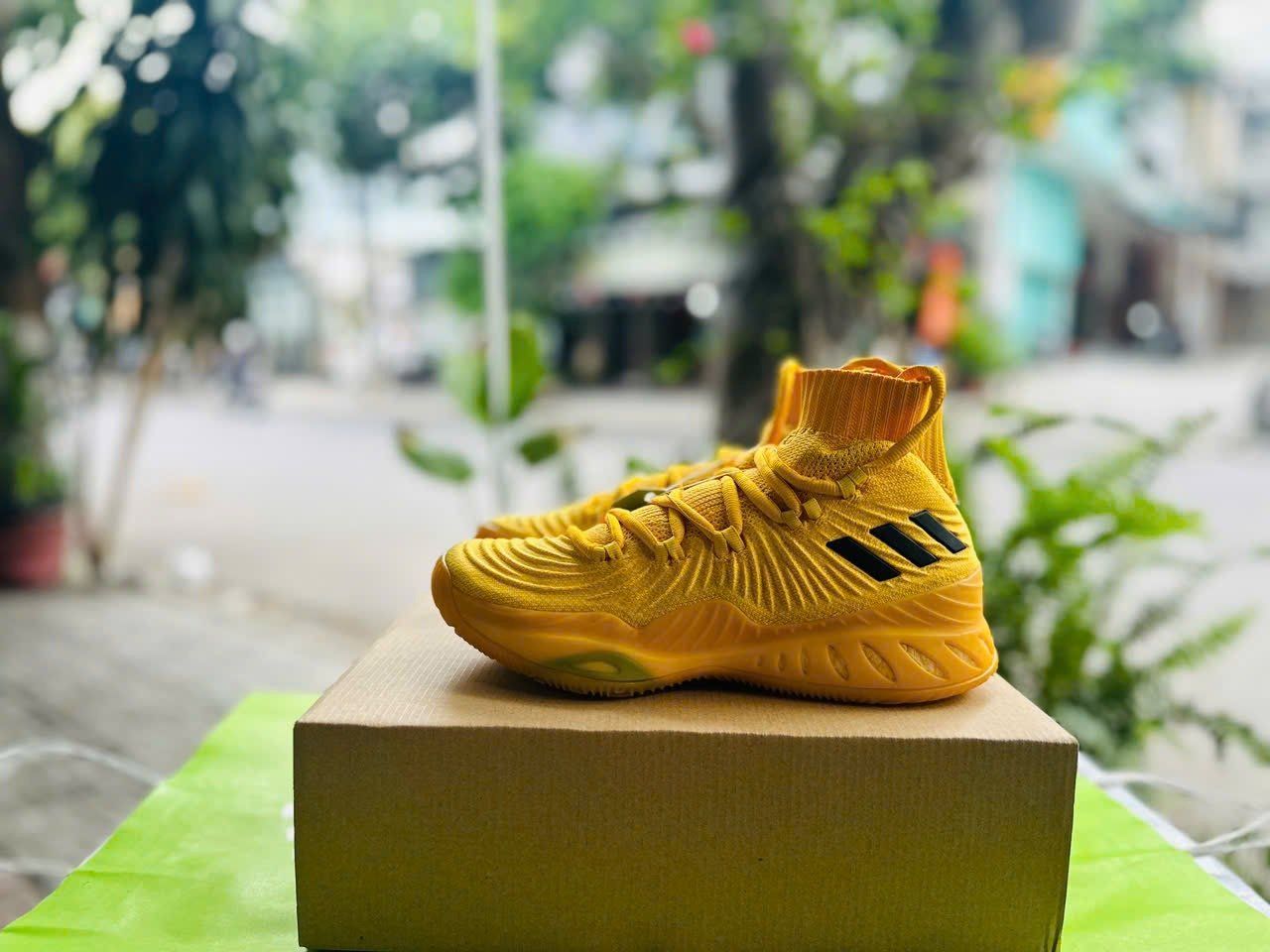 adidas crazy primeknit