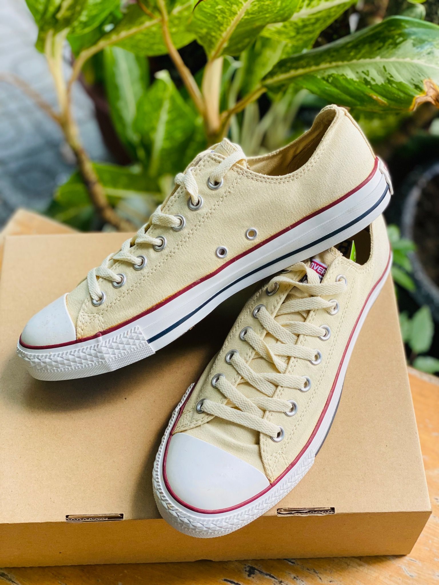 Converse Chuck Taylor All Star Classic Cream White – Gekko 2hand