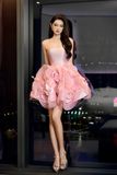  Royal Rhapsody Dress 