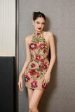  Velvet Affair Dress 