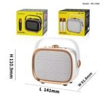  Loa Karaoke Bluetooth Mini có quai xách dễ thương NR 138W Kèm 2 Micro Không Dây - Nhỏ Gọn Tiện Lợi- Thích Hợp Trang Trí 