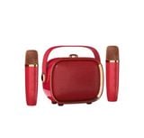  Loa Karaoke Bluetooth Mini có quai xách dễ thương NR 138W Kèm 2 Micro Không Dây - Nhỏ Gọn Tiện Lợi- Thích Hợp Trang Trí 