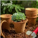 Chậu Xơ Dừa Eco Pot