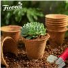 Chậu Xơ Dừa Eco Pot