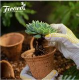 Chậu Xơ Dừa Eco Pot