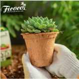 Chậu Xơ Dừa Eco Pot