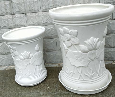 Chậu sen thổi - Phi 26