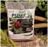 Đá  Pumice - Đá bọt - Ficoco