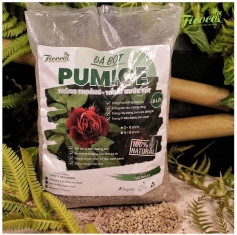 Đá  Pumice - Đá bọt - Ficoco