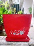Chậu vuông bầu