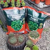 Đất trồng xương rồng sen đá Namix (Succulents Potting Mix) - Gói 5dm3 (Lít) khoảng 2,5-3 Kg