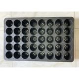 Vỉ Ươm Cây 40 Lỗ Khôi Nguyên