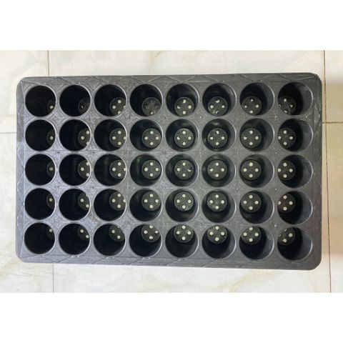 Vỉ Ươm Cây 40 Lỗ Khôi Nguyên