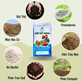 Đất đa dụng Nam Việt-Bao 22dm3