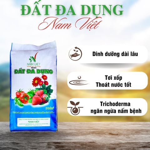 Đất đa dụng Nam Việt-Bao 22dm3
