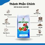 Đất đa dụng Nam Việt-Bao 22dm3