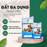 Đất đa dụng Nam Việt-Bao 22dm3