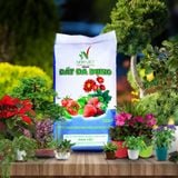 Đất đa dụng Nam Việt-Bao 22dm3