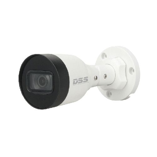 Camera IP DSS DS2431SFIP-S2