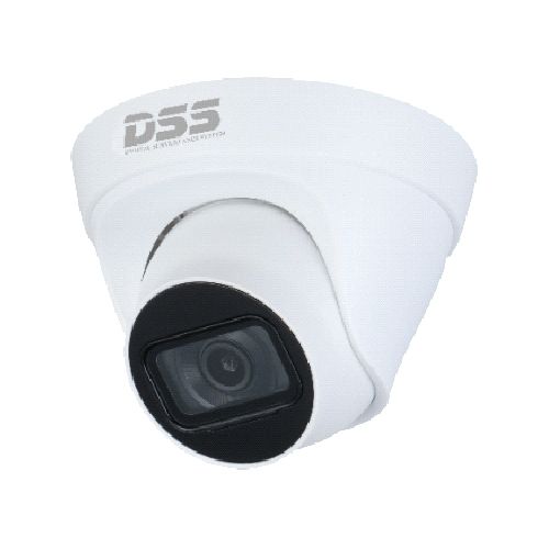 Camera IP DSS DS2431TDIP-S2