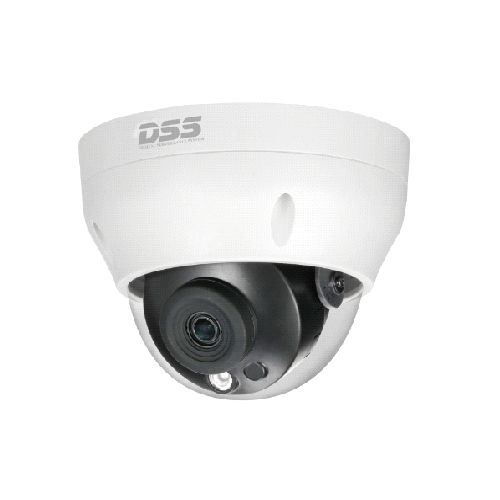 Camera IP DSS DS2431RDIP-S2