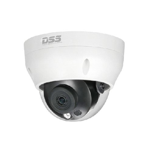 Camera IP DSS DS2230RDIP-S2