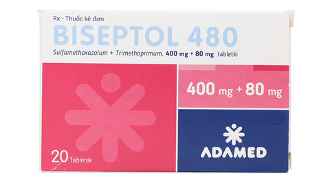  Thuốc Biseptol 480 điều trị nhiễm trùng do vi sinh vật nhạy cảm với thuốc 