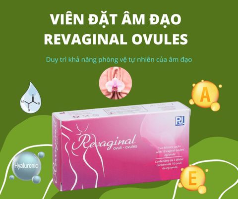  Viên đặt âm đạo Revaginal Ovules giúp dưỡng ẩm vùng âm đạo, hỗ trợ phòng ngừa khô, viêm nhiễm, ngứa ngáy, kích ứng âm đạo (2 Vỉ x 5 Viên) 