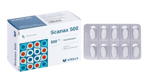  Thuốc Scanax 500 Stella điều trị nhiễm khuẩn 