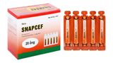  Siro Snapcef 10ml bổ sung kẽm, tăng cường sức đề kháng (Hộp 20 ống). 