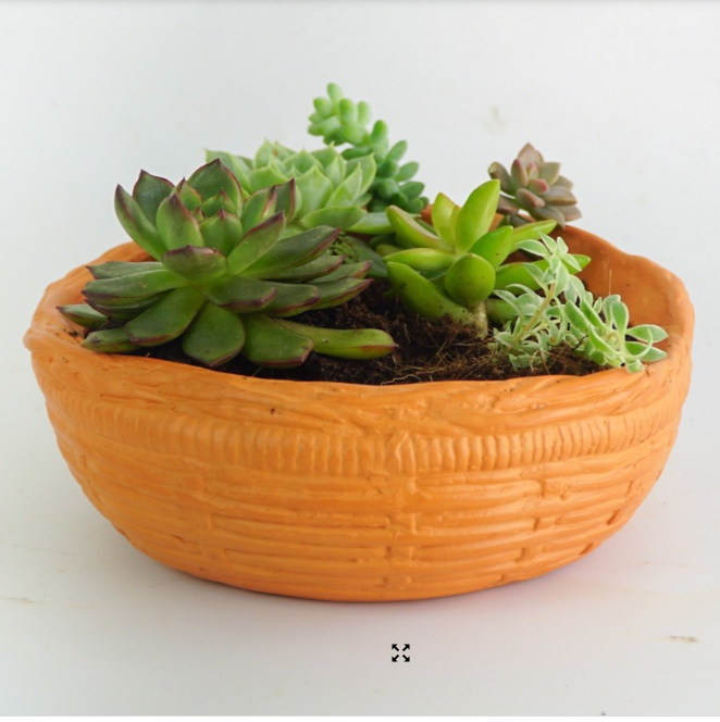 Chậu trồng cây - trang trí đất nung kiểu ổ rơm – NGƯỜI LÀM VƯỜN
