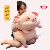  Gấu bông heo mắt híp 