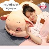  Gấu bông heo mắt híp 