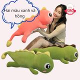  Gấu thằn lằn 1m5- 1m9 