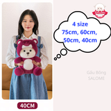  Gấu bông lena ngồi đội nón gấu dâu đáng yêu 