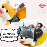  Gấu bông Husky xám - Shiba nâu 