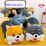  Gấu bông Husky xám - Shiba nâu 