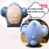 Gấu bông cá mập cơ bắp 